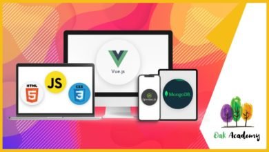 Full Stack Web Development with Vue Js, NodeJS, MongoDB, JS